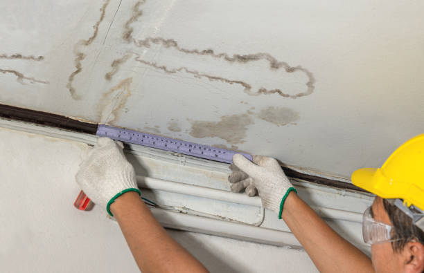 Reliable Burst Pipe Cleanup contractor in Owendale, MI by Water Damage Irwin